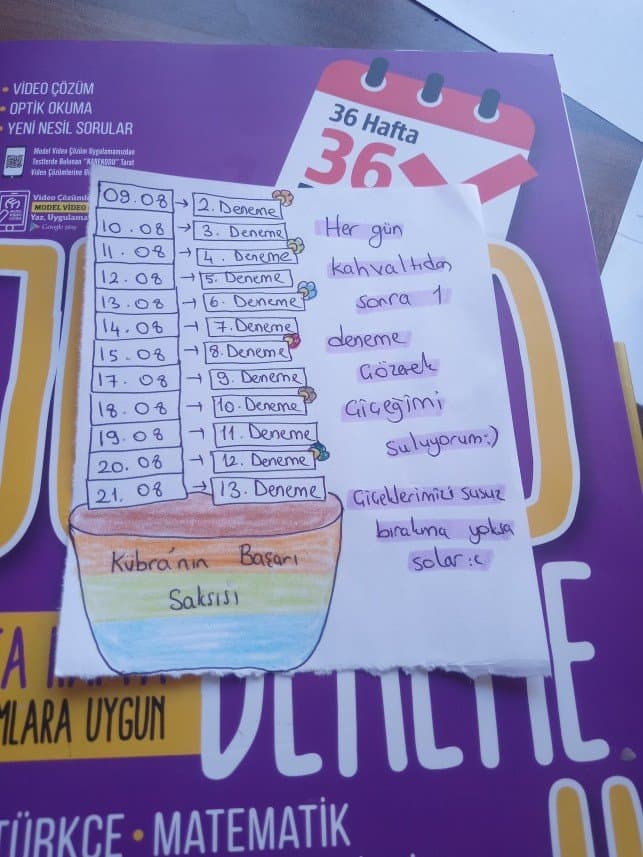 Hilal A. — çalışma 2