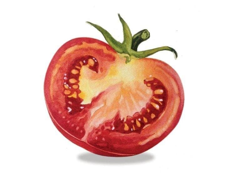 Flower D. — çalışma 1