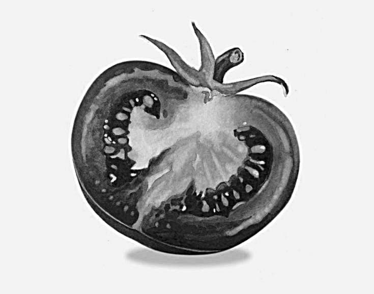 Flower D. — çalışma 7