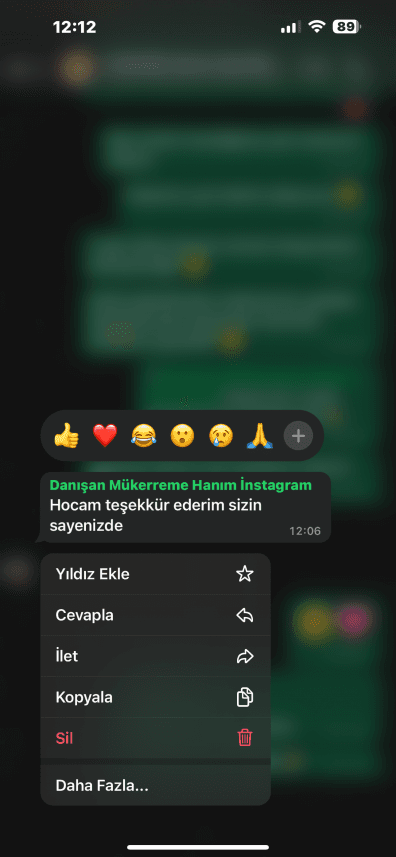 Hilal E. — çalışma 2