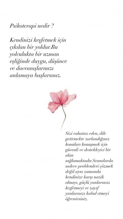 İrem C. — çalışma 1