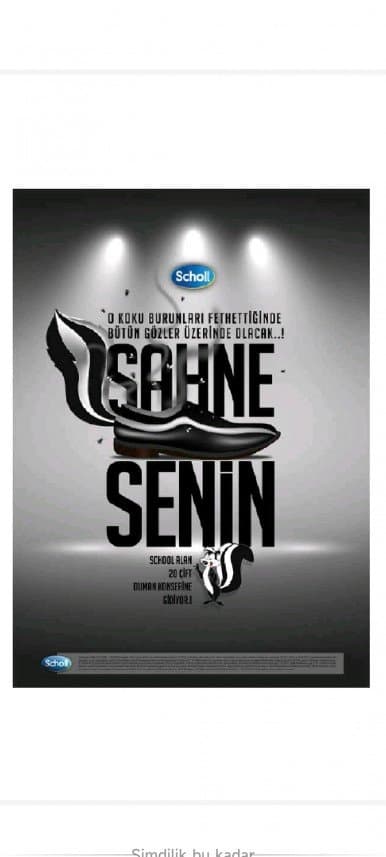 İrem Ö. — çalışma 1