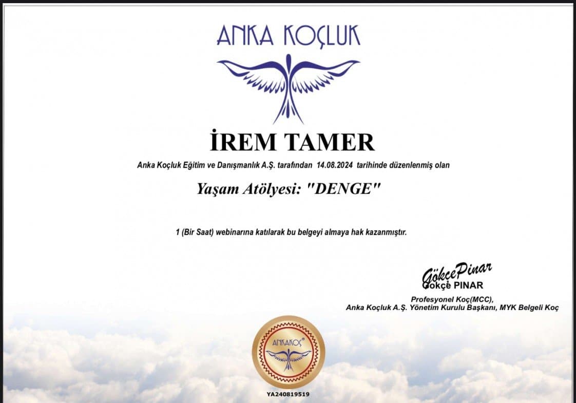İrem T. — çalışma 1