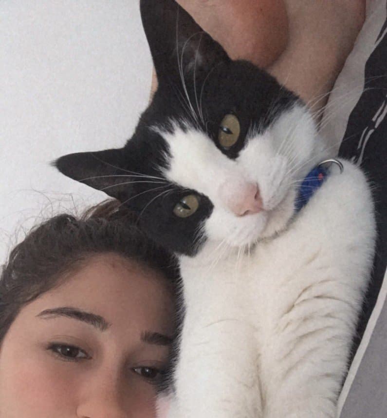 İrem Y. — çalışma 2