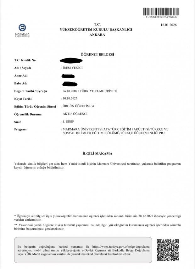 İrem Y. — çalışma 1