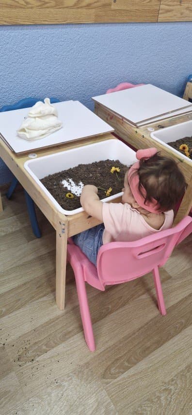 Irem Z. — çalışma 1