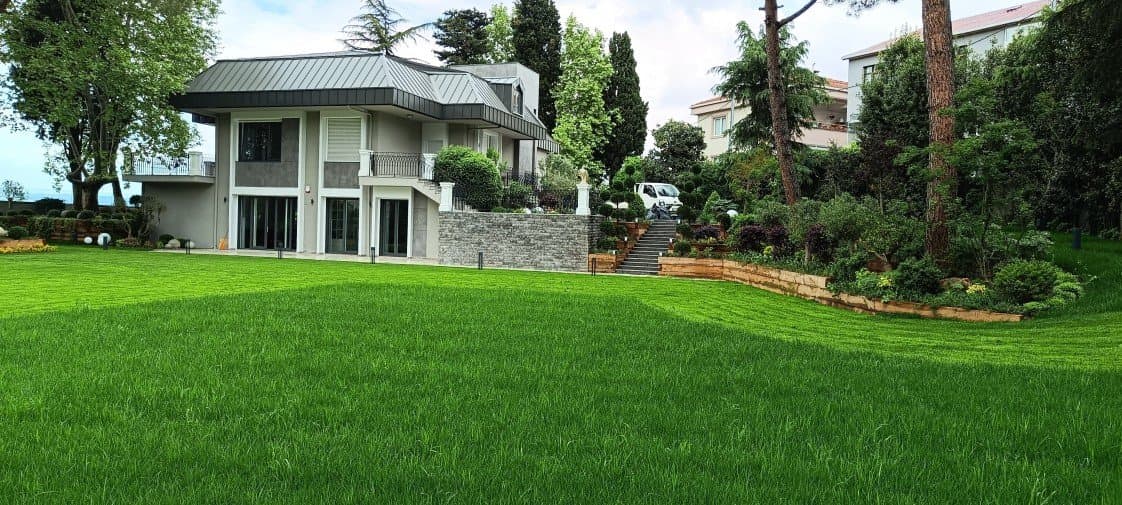 Kağan K. — çalışma 4