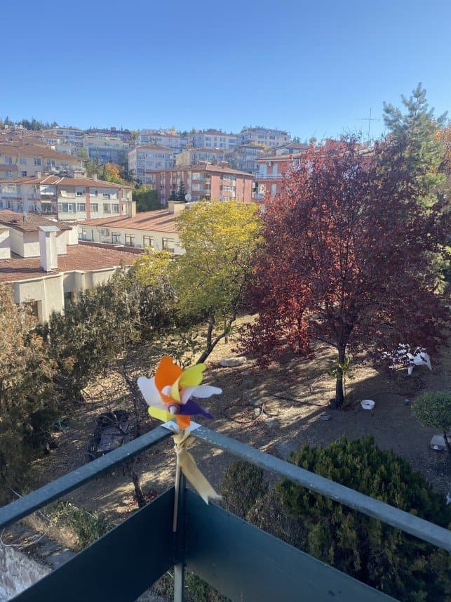 Kardelen S. — çalışma 4