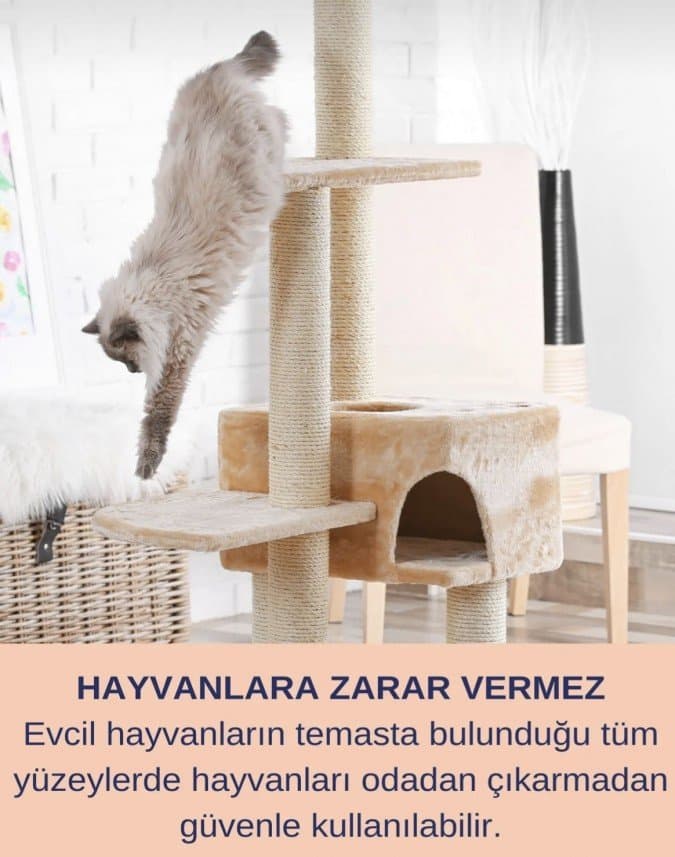 Kedili E. — çalışma 4