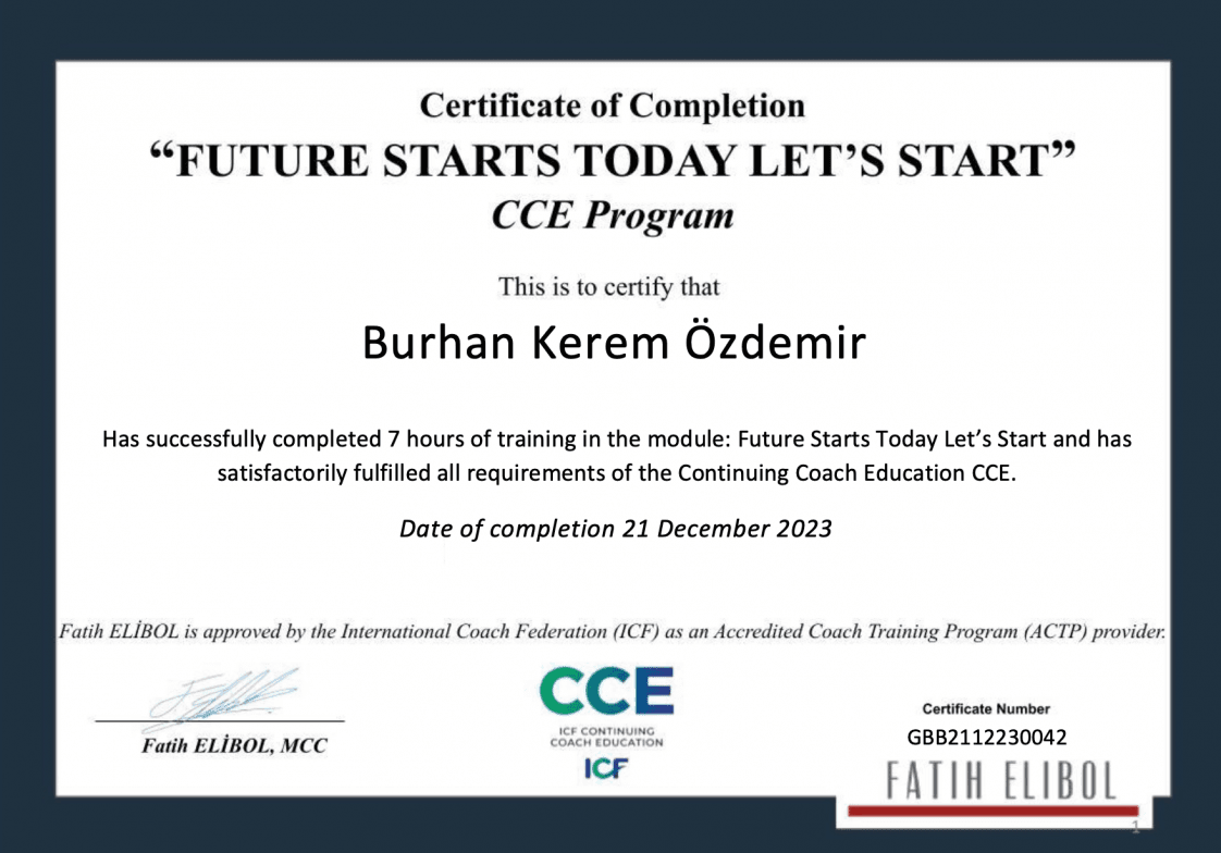 Burhan Ö. — çalışma 2