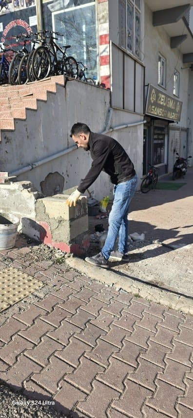 Kerim P. — çalışma 2