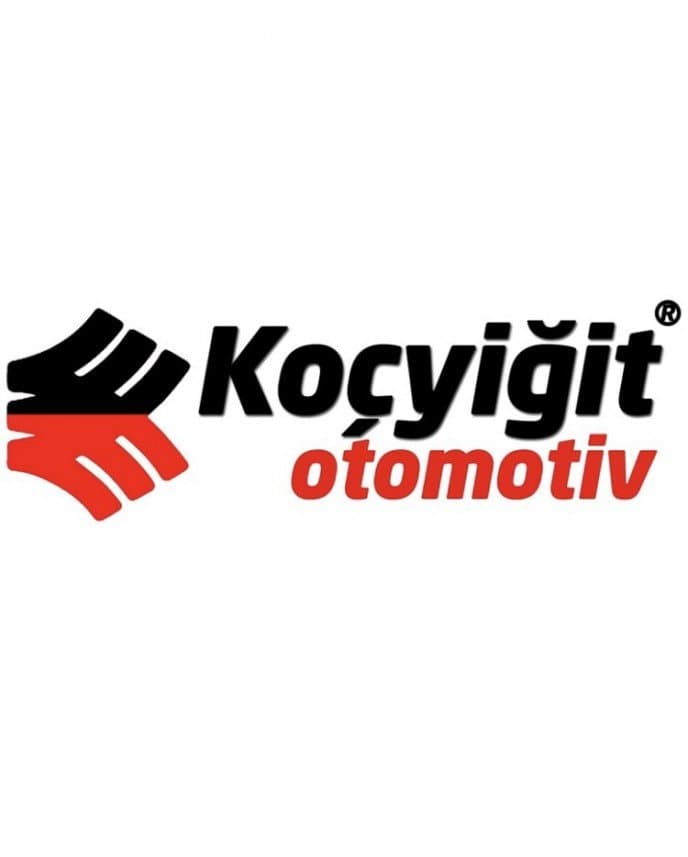 Koçyiğit O. — çalışma 6