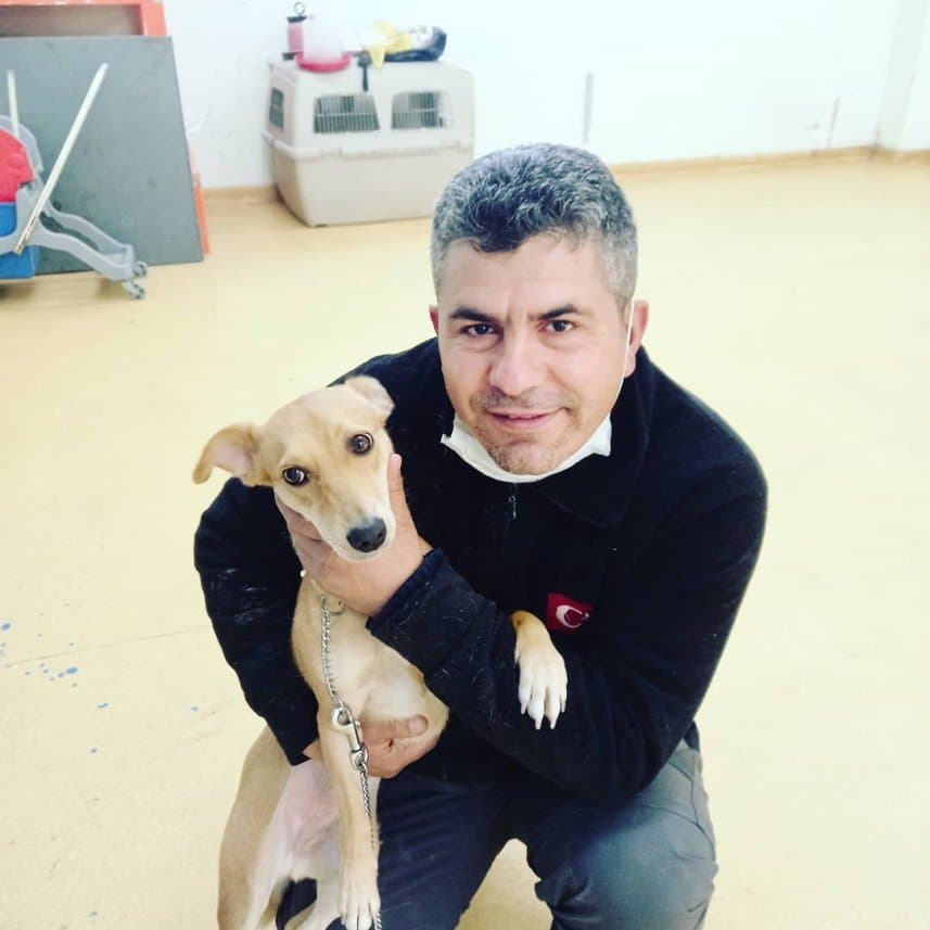 Köpek E. — çalışma 4