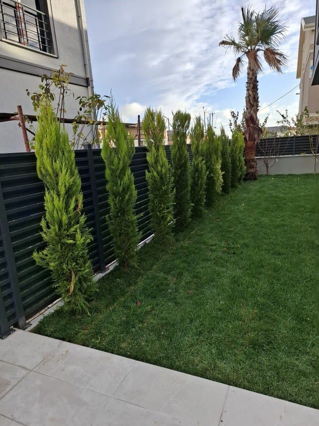 Levent U. — çalışma 8