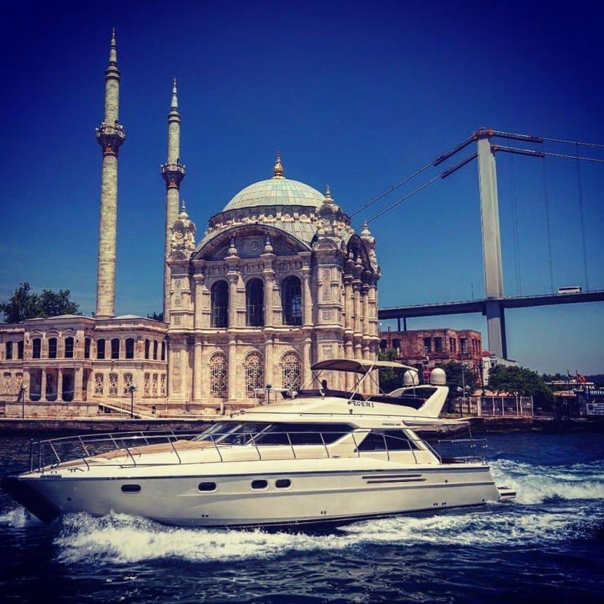 Liha T. — çalışma 5