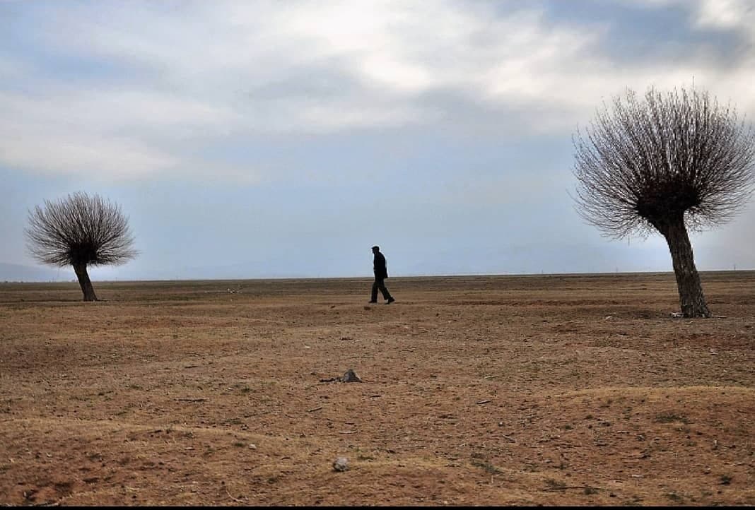 Mahsun Ö. — çalışma 2
