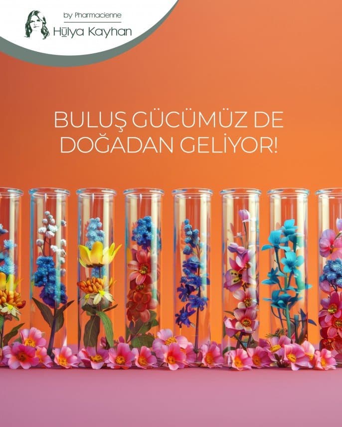Dilek E. — çalışma 5