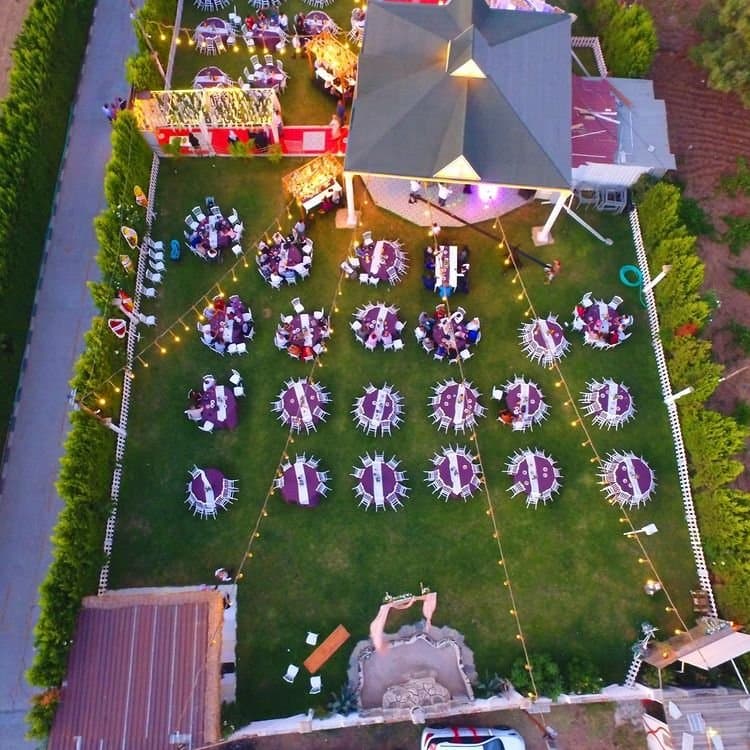 Marbella H. — çalışma 5