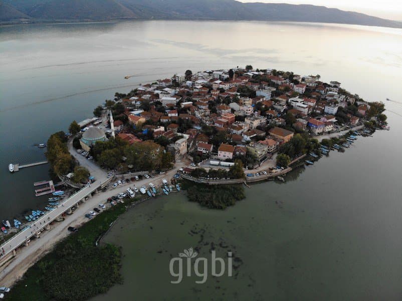Mavi F. — çalışma 2