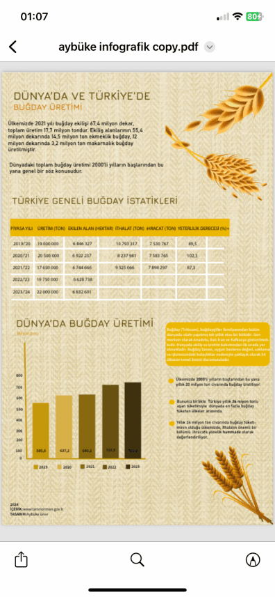 Medine Ü. — çalışma 6