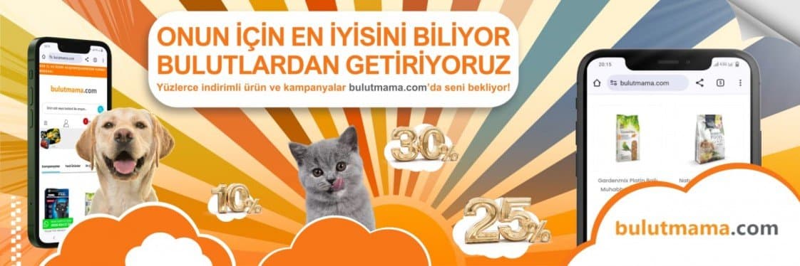 Mehmet G. — çalışma 5