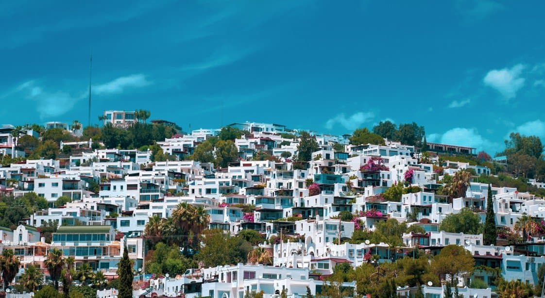 Mehmet Ç. — çalışma 1
