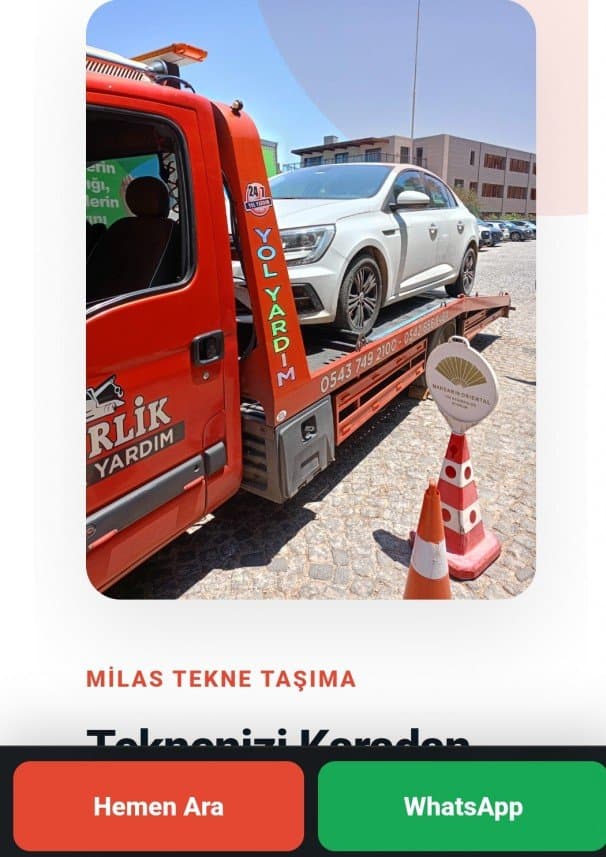 Mehmet C. — çalışma 1
