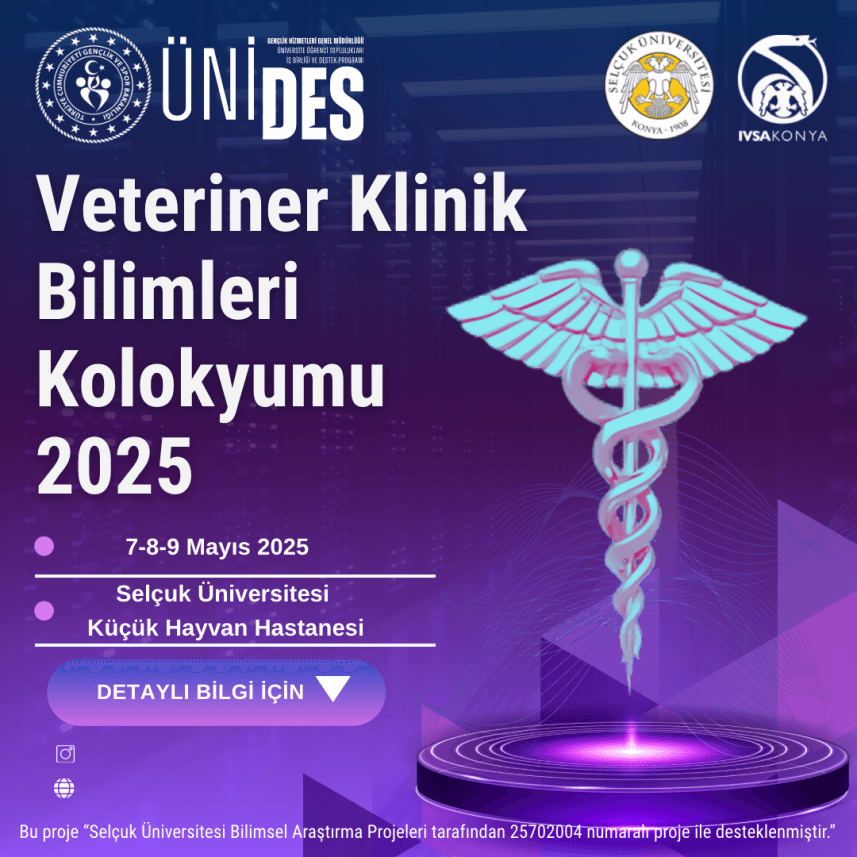 Mehmet K. — çalışma 6