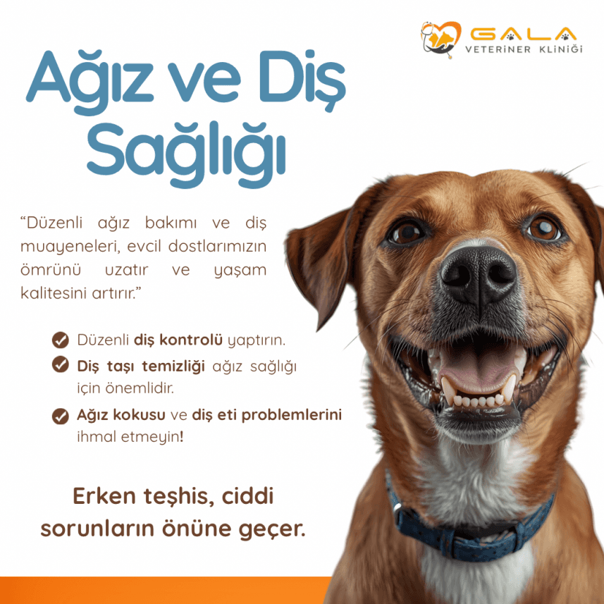 Mehmet K. — çalışma 7