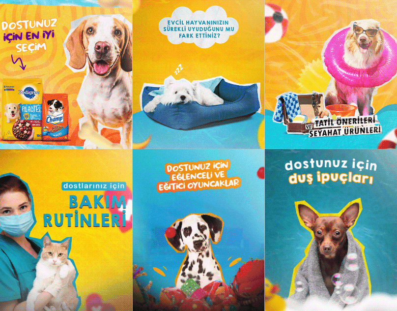 Mehmet S. — çalışma 2