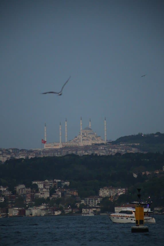 Mehmethan D. — çalışma 4