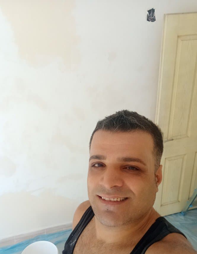 Meis D. — çalışma 2