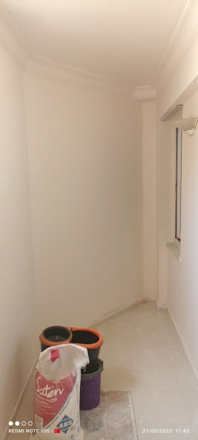 Meis D. — çalışma 3