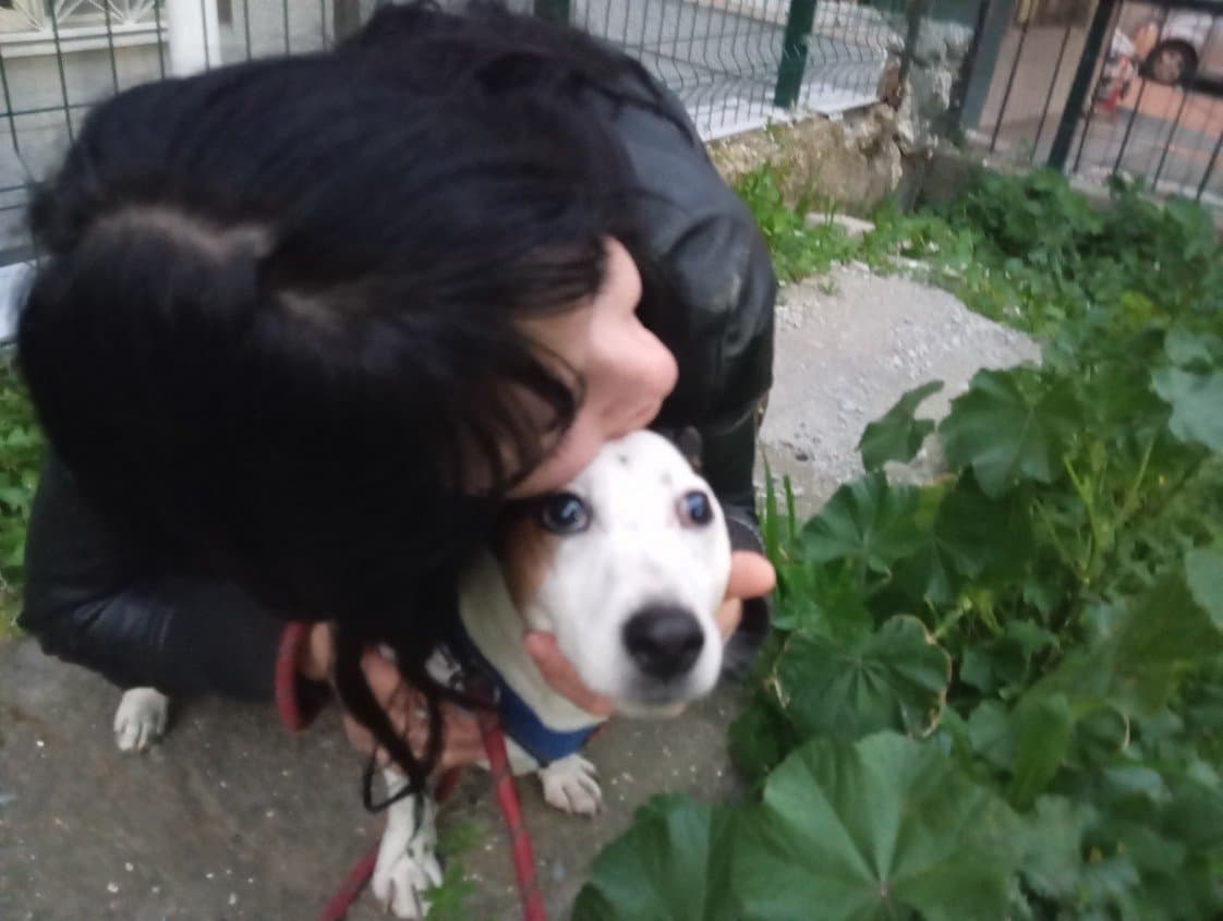 Melike Ç. — çalışma 1