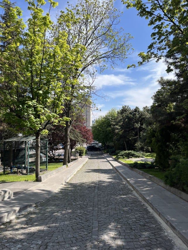 Melike K. — çalışma 3