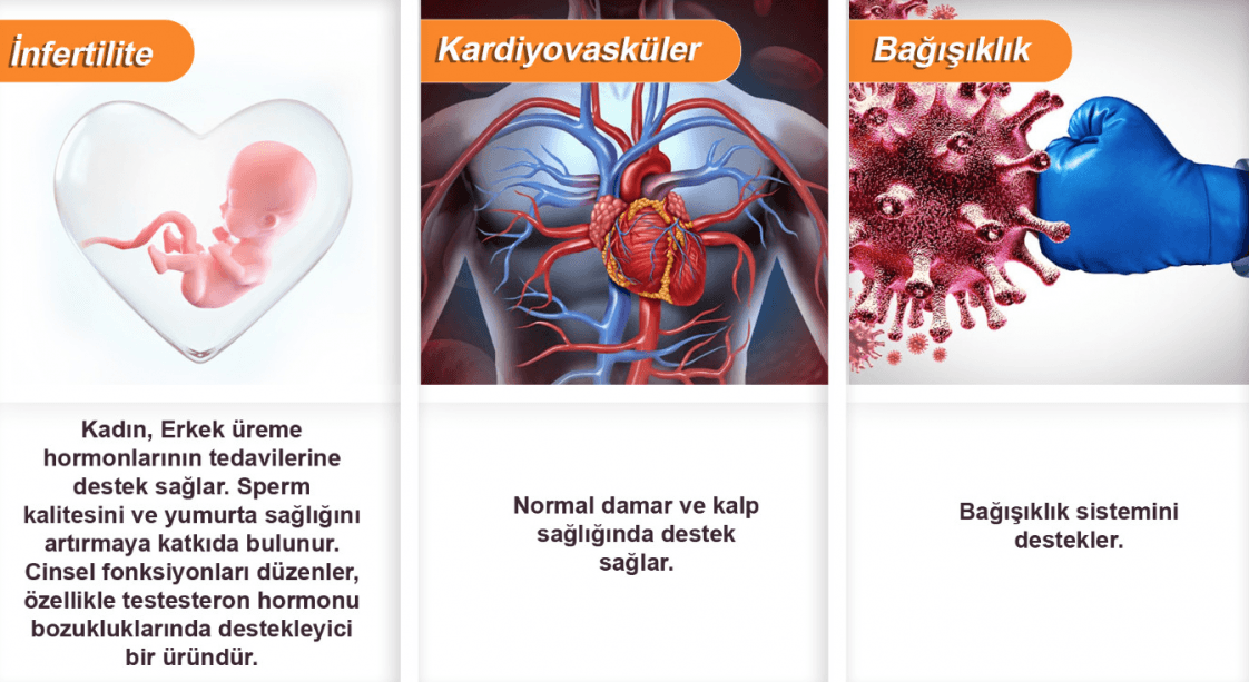 Melike Y. — çalışma 4