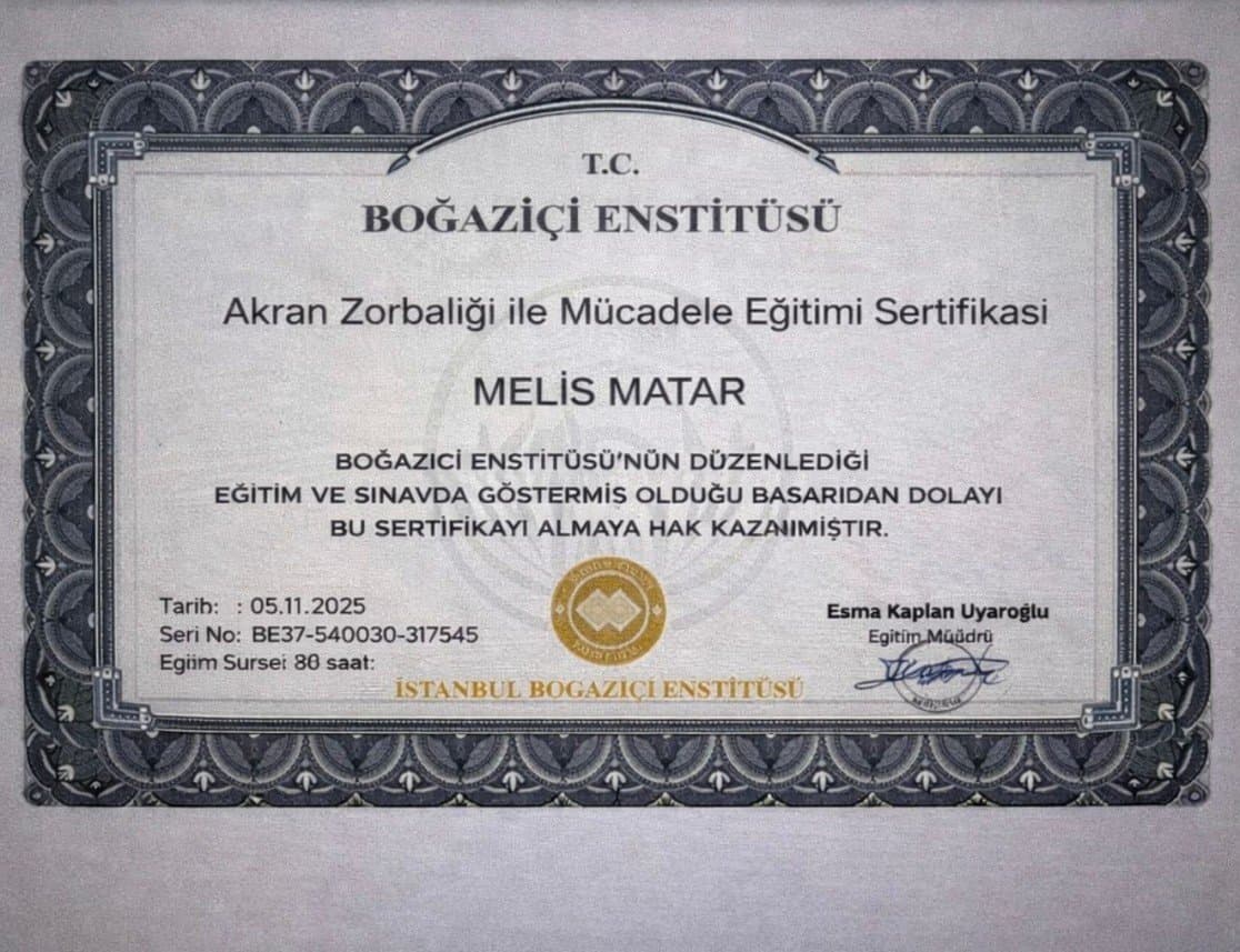 Melis M. — çalışma 1