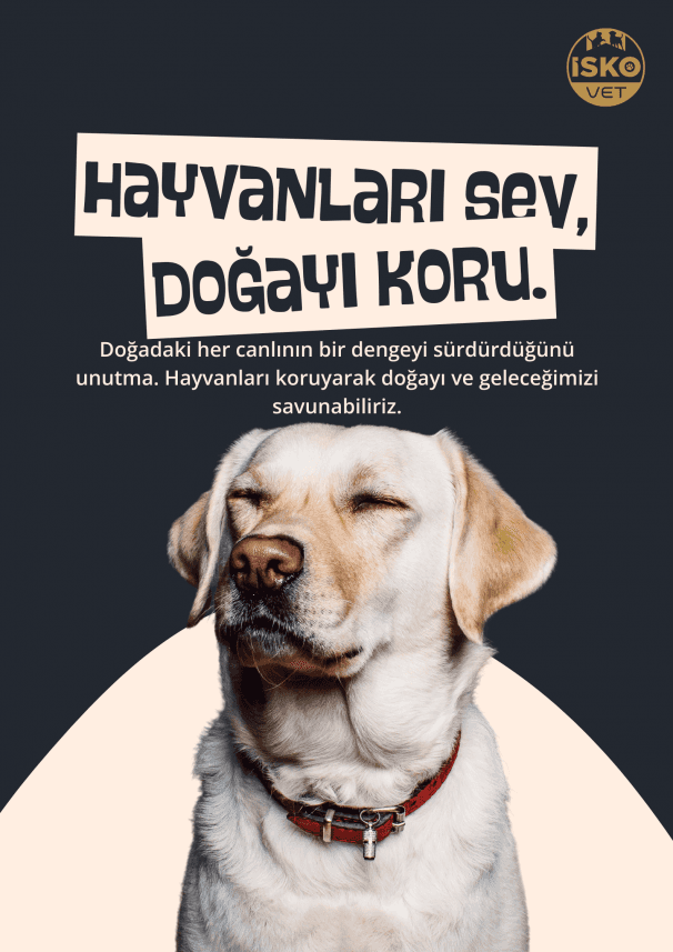 Melisa A. — çalışma 1