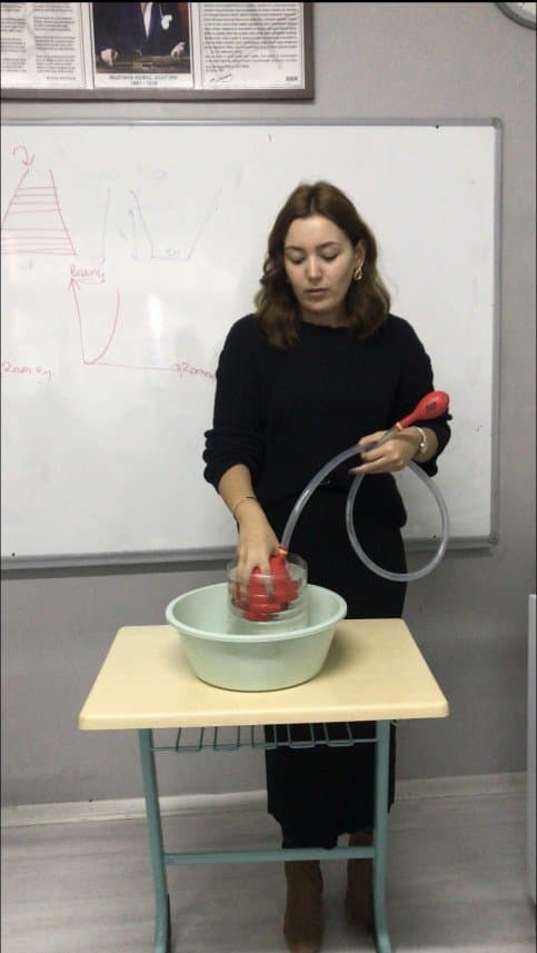Menekşe K. — çalışma 4