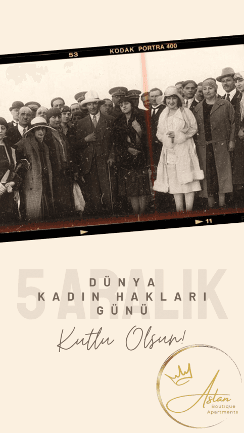 Mert S. — çalışma 5
