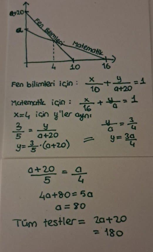 Merve C. — çalışma 1