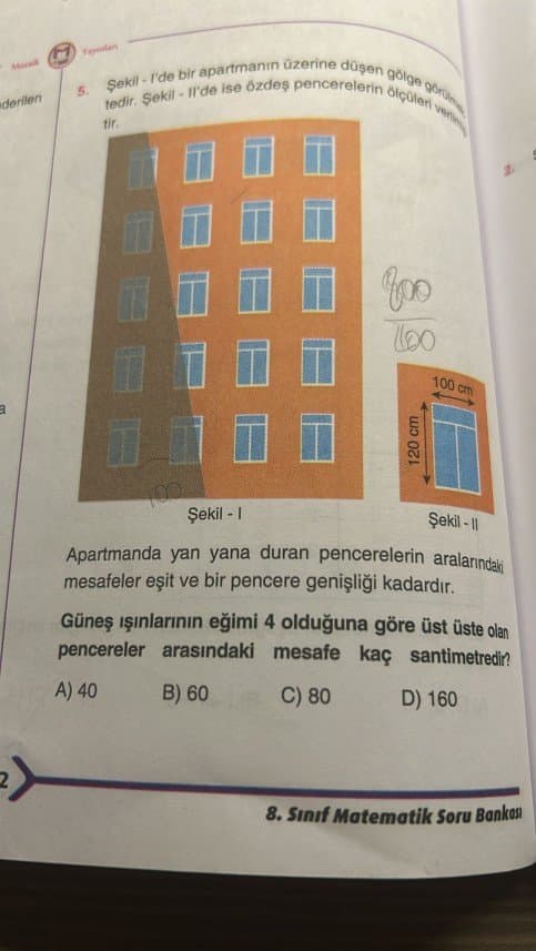 Merve C. — çalışma 5