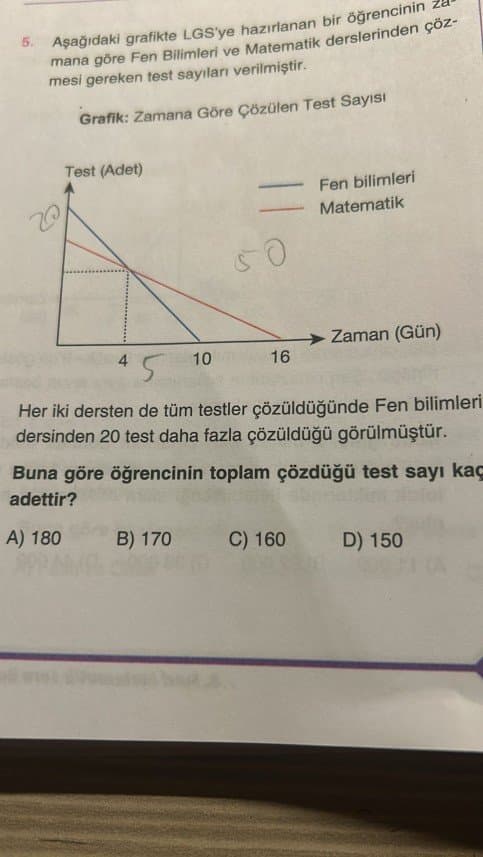 Merve C. — çalışma 6
