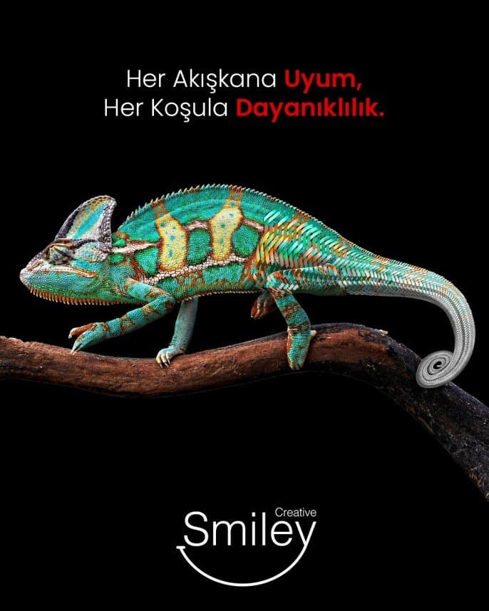 Merve E. — çalışma 1
