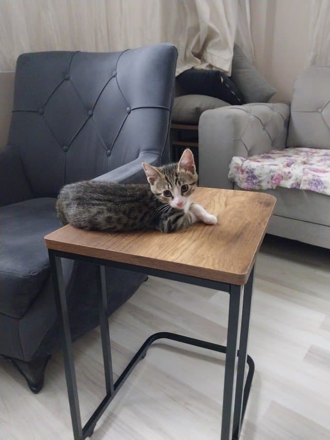 Merve İ. — çalışma 4