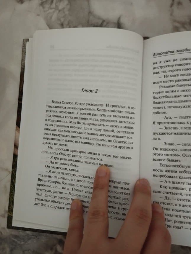 Metanet N. — çalışma 4