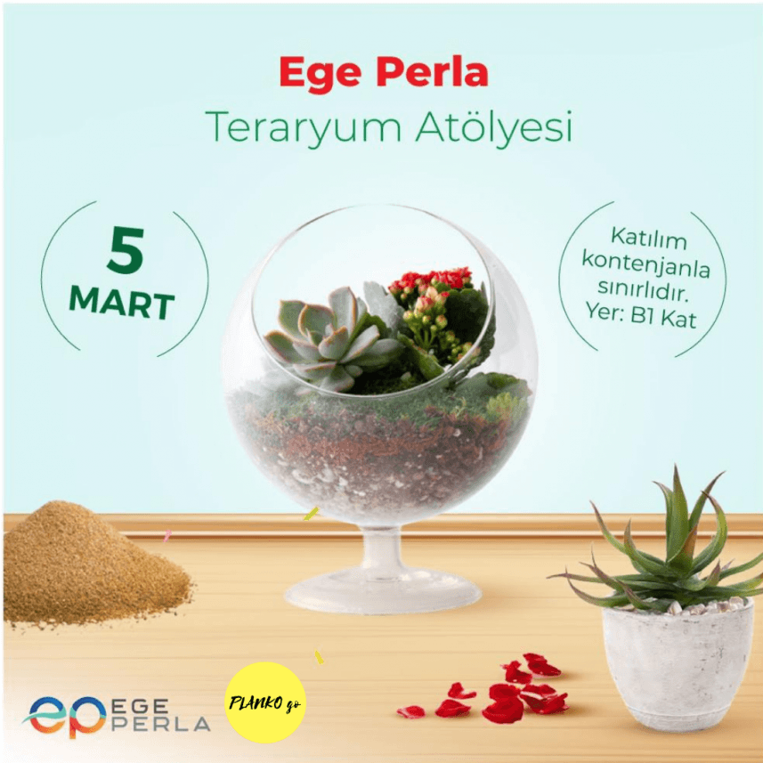 Müge Ü. — çalışma 3