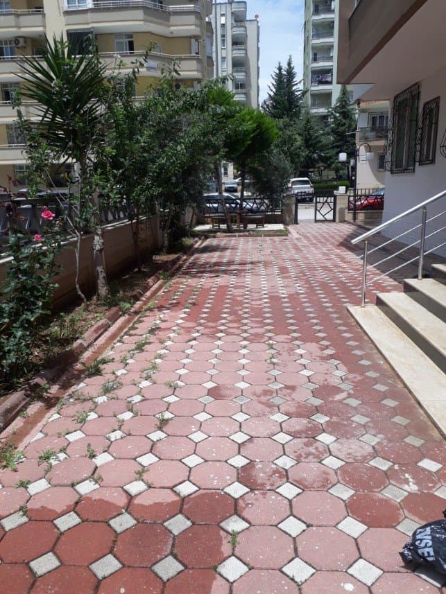 Mustafa D. — çalışma 5