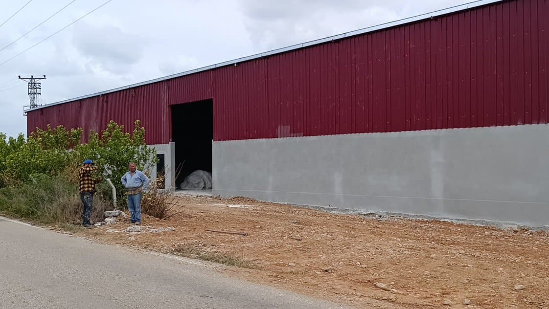 Mustafa K. — çalışma 1