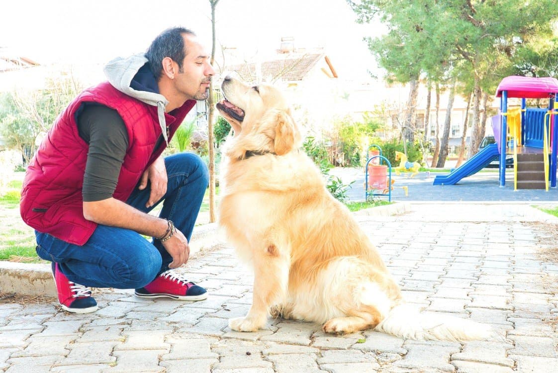 Mustafa K. — çalışma 2